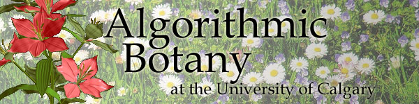 <b>Algorithmic</b> Botany at the <b>University</b> of <b>Calgary</b>