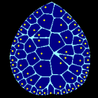Image from the paper