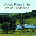 Image from Woody Plants CD